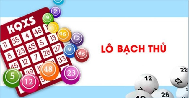 Bạch Thủ Lô Là Gì 1