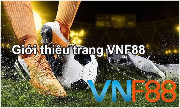 VNF88 Website cá cược đá gà online uy tín, an toàn 2