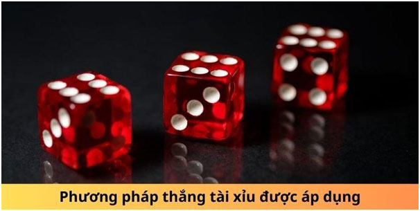 Phương pháp thắng tài xỉu được áp dụng